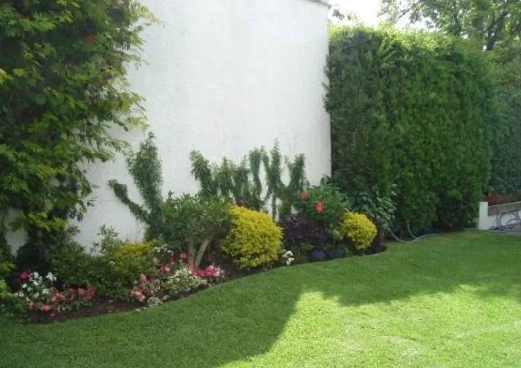 Beneficios de tener un jardín en tu casa 