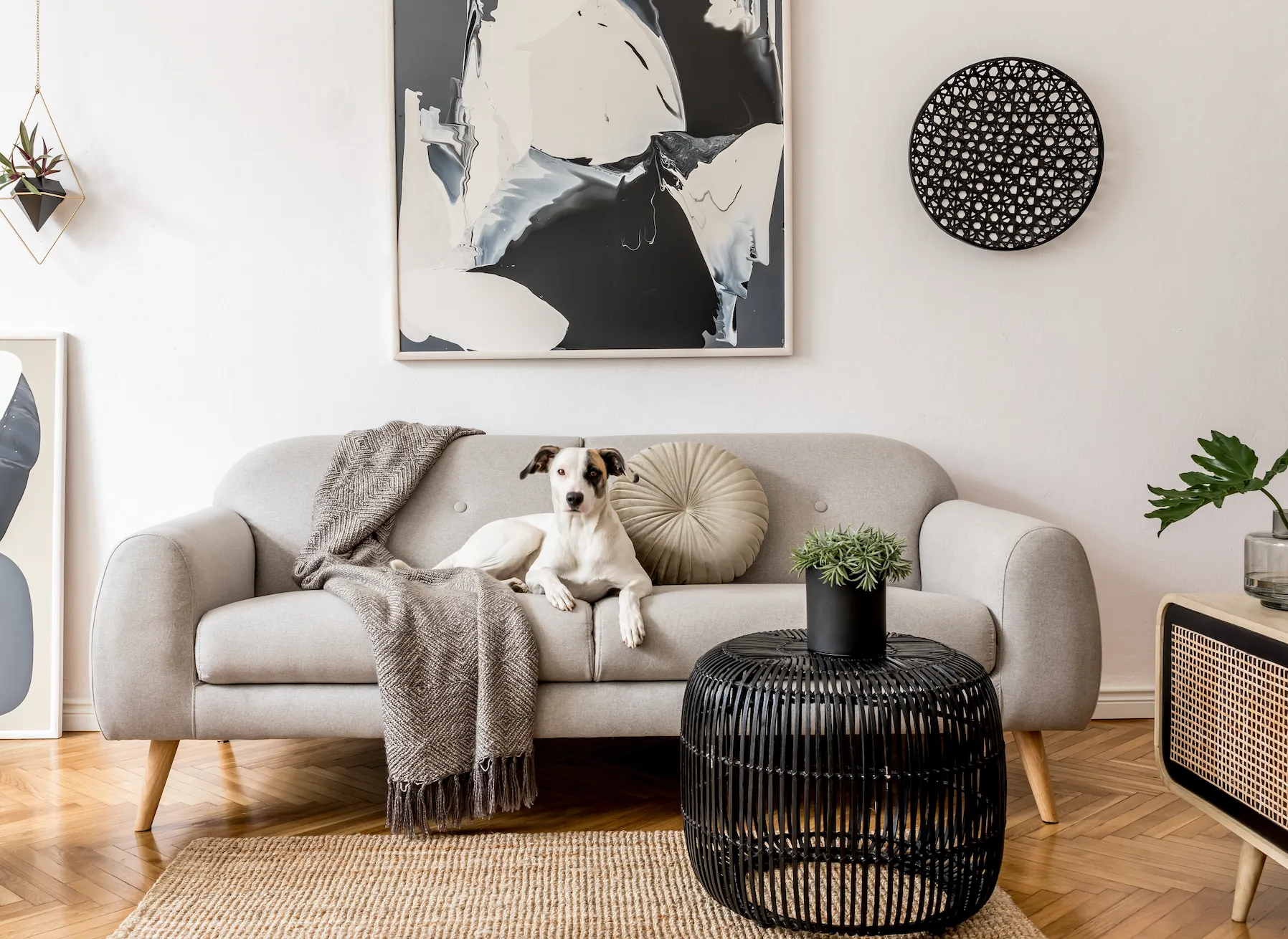 ¿Cómo comprar la sala ideal para tu casa?
