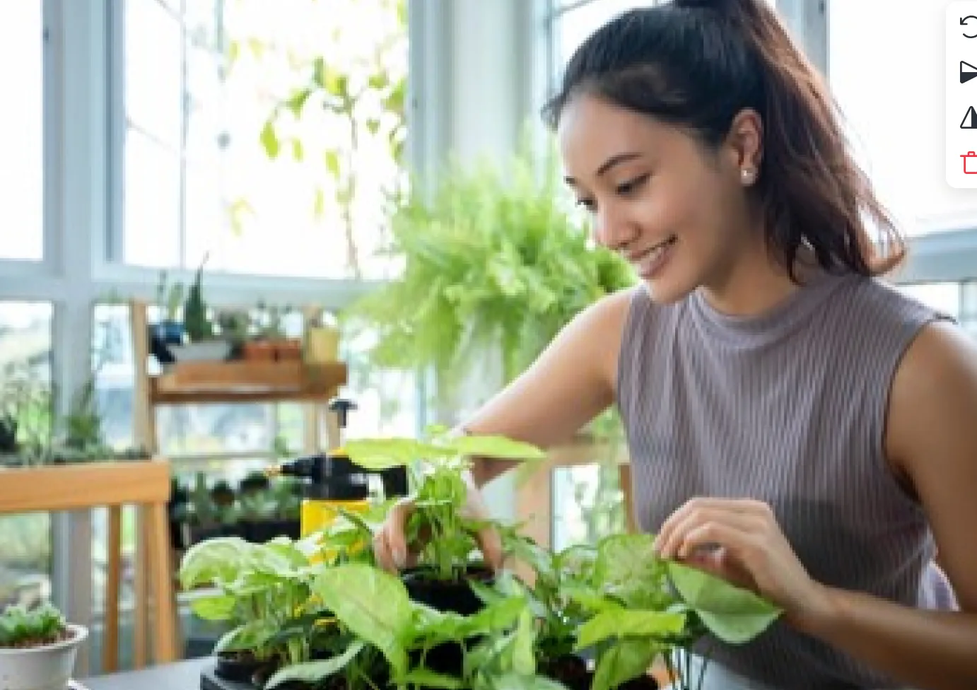 Consejos para tener un jardín en casa 
