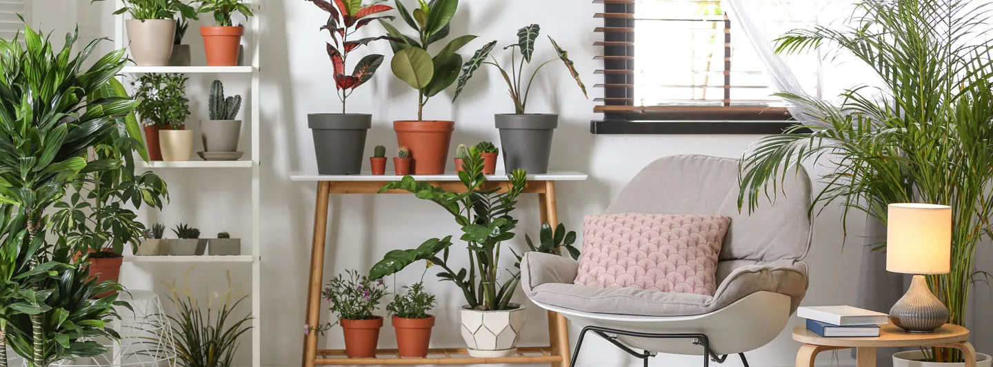 ¿Cuáles son las tendencia en decoración para este 2021? 