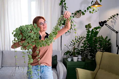El diseño biofílico es una corriente arquitectónica y de interiores que promueve la conexión entre las personas y la naturaleza dentro de los espacios construidos. No se trata solo de colocar plantas: va mucho más allá, integrando luz natural, materiales orgánicos, texturas naturales y la presencia visual y sensorial de entornos naturales.