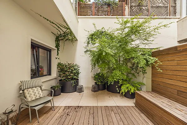 Jardines pequeños, grandes ideas: ¿cómo crear tu propio oasis en casa?
