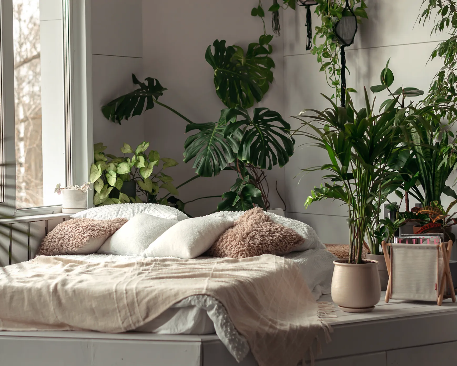 Plantas recomendables para tu dormitorio 