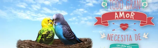TODO GRAN AMOR NECESITA DE UN GRAN NIDO ¡CONSÍGUELO CON UN CRÉDITO CONYUGAL!