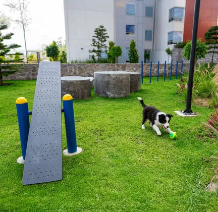 Pet park