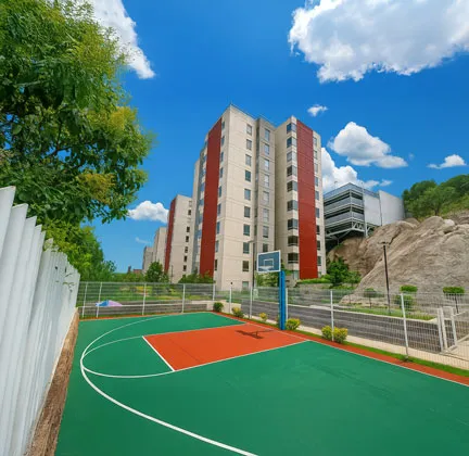 Canchas