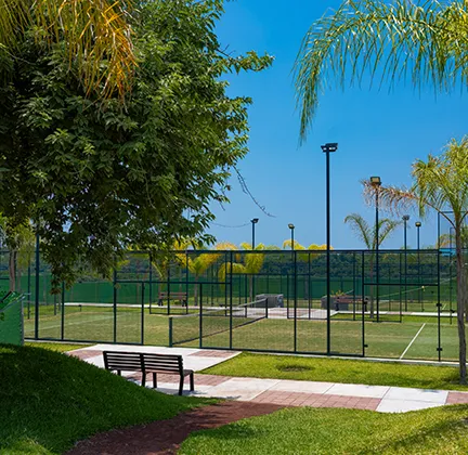 Canchas