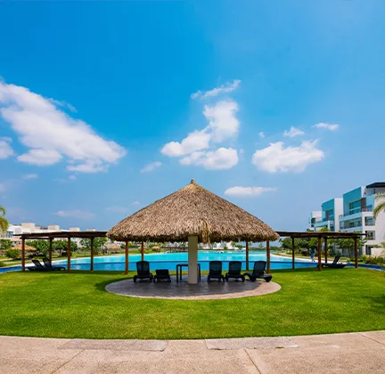 Palapa