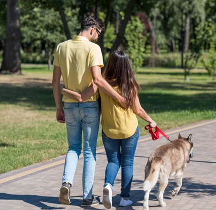 Pet park 