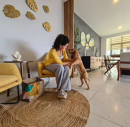 Pet friendly