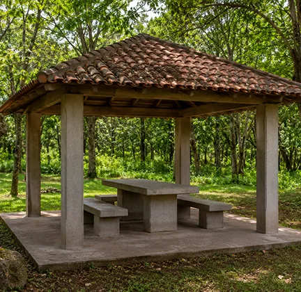 Palapas
