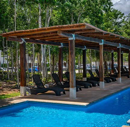 Palapa